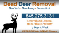 Dead Deer Removal