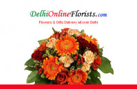 Send Best Pinata Cake Delhi- Same Day Delivery in 2 - 3 Hours