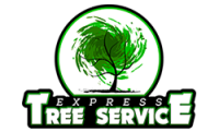 Express Tree Service