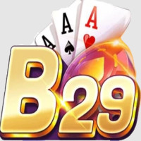 B29