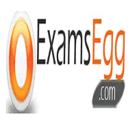Examsegg