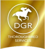 DGR THOROUGHBRED SERVICES PTY LTD