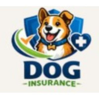 Dog Insurance