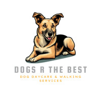 Dogs R The Best