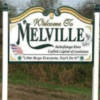 Majestic Pest Control of Melville