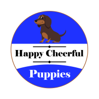 Happy Cheerful Puppies