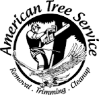 Bendigo Tree Removal Doctor