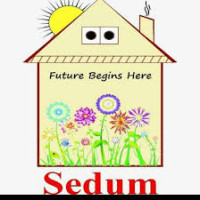 Sedum School & Rehabilitation Center in Rawalpindi