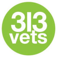 313Vets