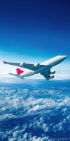 Quick and Easy Flight Booking with Flighta