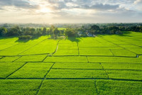 Residential Plots Available for Sale in Prime Gurgaon Locations