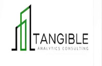 Tangible Analytics Consulting