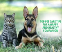 Pet Care Service Oklahoma City