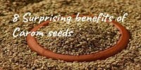 Carom Seed Benefits | Everylilthings