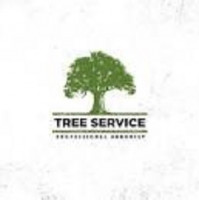 J&M Tree & Landscaping