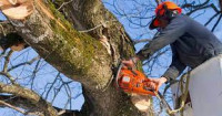 Home of the Masters Golf Tree Service