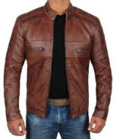 jacket zilla
