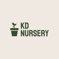 kd nursery