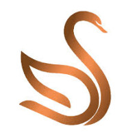 Slate of Swan