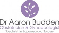 Dr Aaron Budden Specialist Obstetrician and Gynaecologist