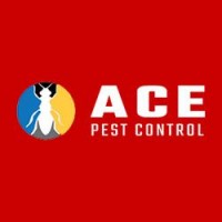 Best Pest Control Frankston