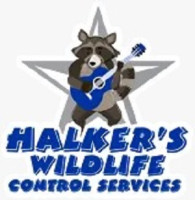 Halker's Wildlife Control Services