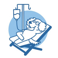 Veterinaria Playa Honda