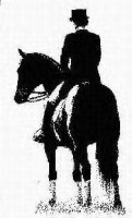 Equestrian Video Consulting