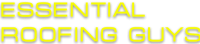 Essential Roofing Guys