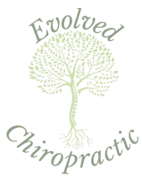 Evolved Chiropractic