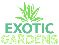 Exotic Gardens Landscaping & Beyond LLC