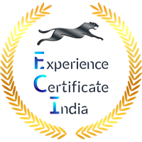 Experiencecertification