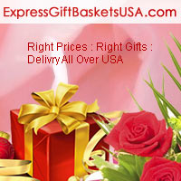 Send Gifts to United States of America and get Express Shipping at a very Cheap Price