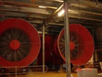 Tunnel Specialist - Greyton