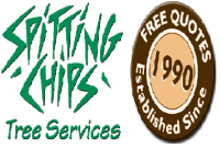Tree Pruning in Canberra