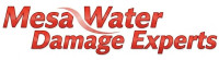 Mesa Water Damage Experts