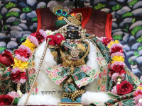 Radharamanji Mandir in Vrindavan – Sacred Darshan of Shri Radha Raman Ji | ShriRadharaman