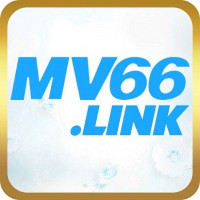 mv66link