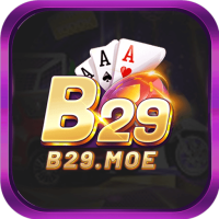 B29MOE