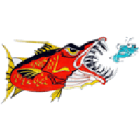 North Myrtle Beach Fishing Charters
