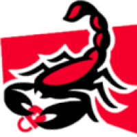 Scorpion Locksmith Houston