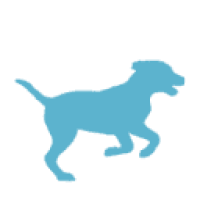 dog-training.me