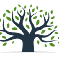 HD Tree Services