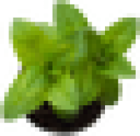 GrowScripts
