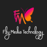 Best IT Company in Ludhiana (Flymedia Technology)