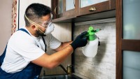 Pest Control Prahran