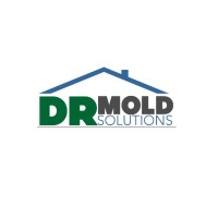 DR Mold Solutions