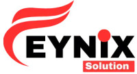 Customized web development: Feynix Solution is prominent for the ability to design and manufacture performance-based websites.