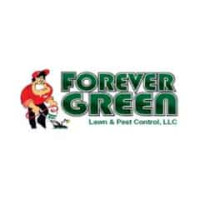 Forever Green Lawn