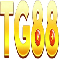 Tg88ny com